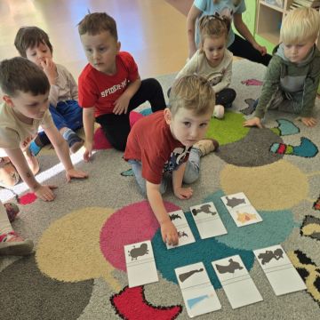 Poznajemy bajki po polsku i angielsku- Fiołki