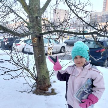 Jak pomóc ptakom przetrwać zimę?- Różyczki